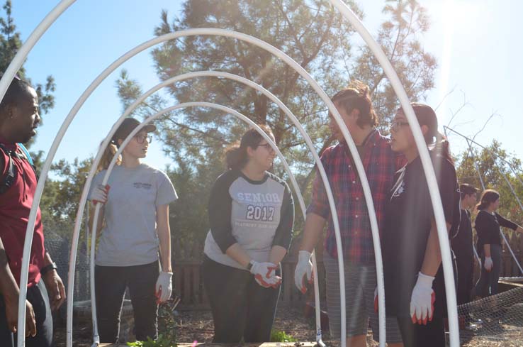 People working in the community garden