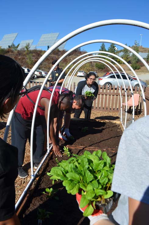 People working in the community garden