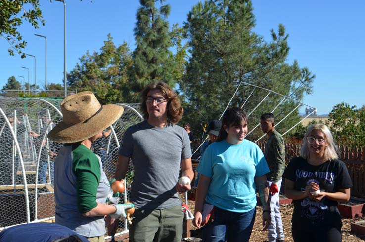 People working in the community garden