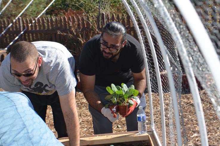 People working in the community garden
