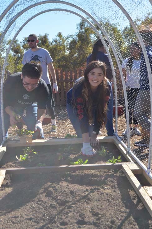 People working in the community garden