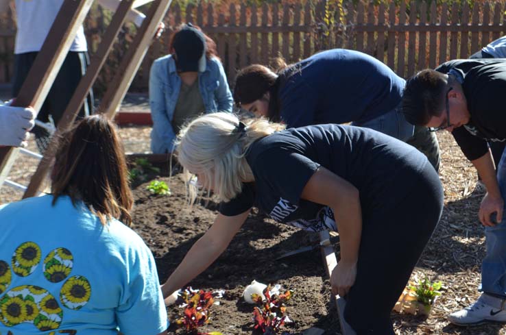 People working in the community garden