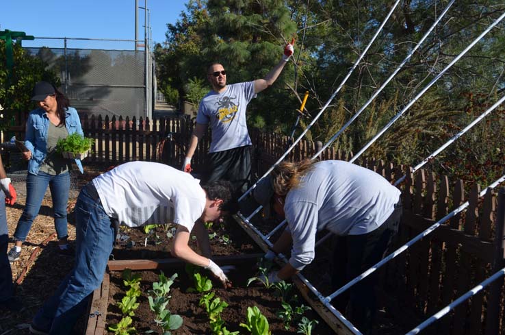 People working in the community garden