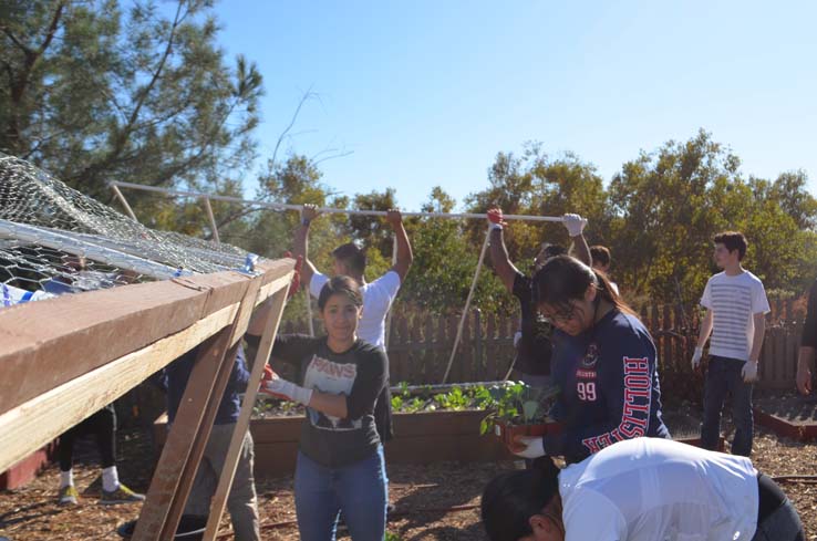 People working in the community garden