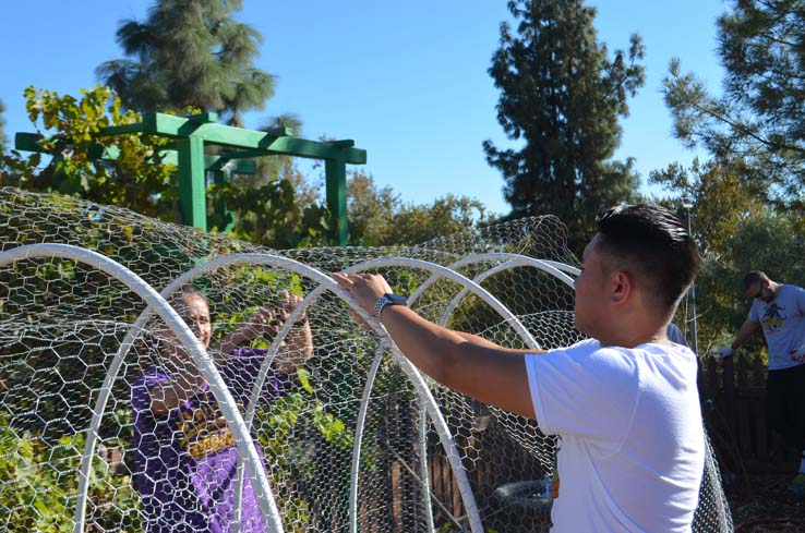 People working in the community garden