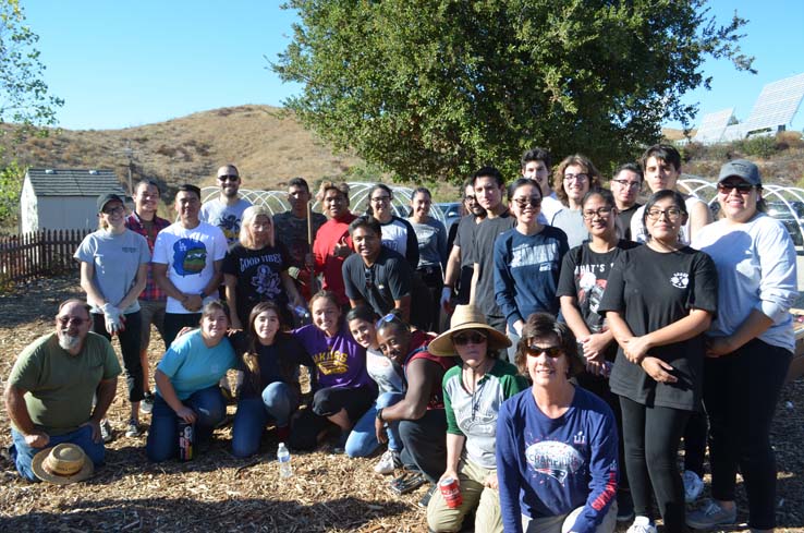 People working in the community garden