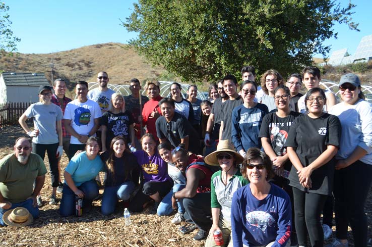 People working in the community garden
