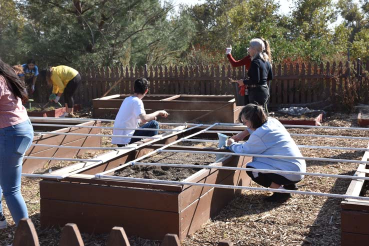 People working in the community garden