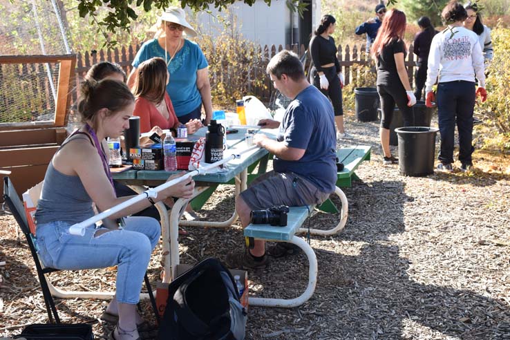 People working in the community garden