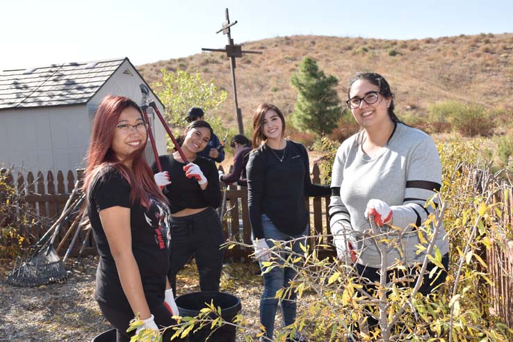 People working in the community garden