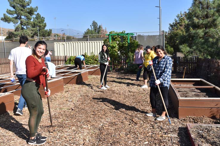 People working in the community garden