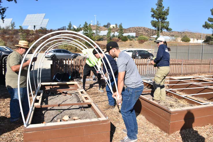 People working in the community garden