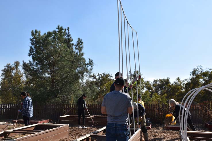 People working in the community garden