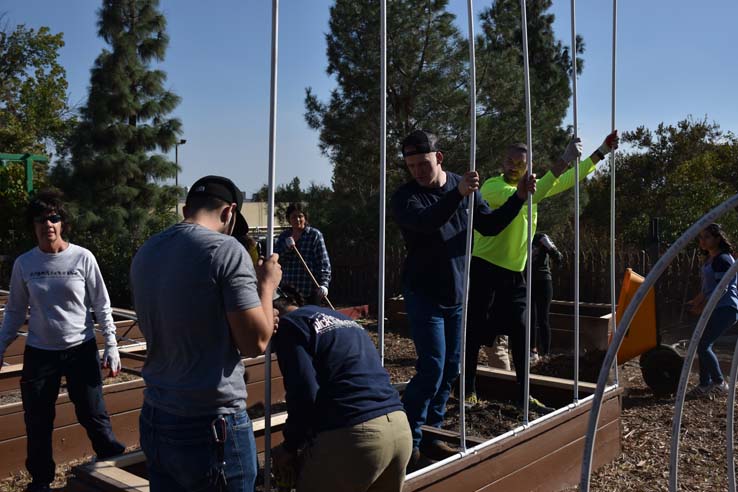 People working in the community garden
