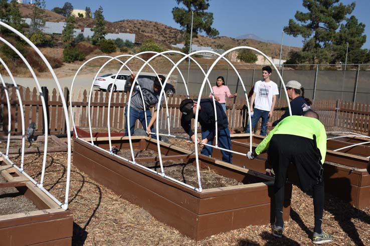 People working in the community garden