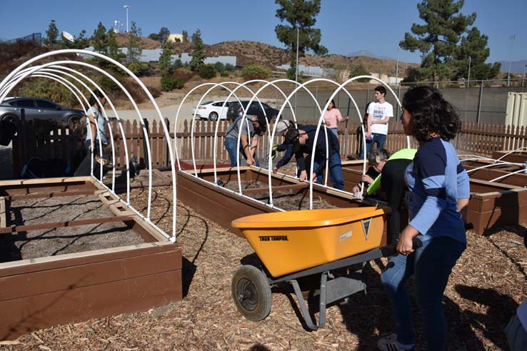 People working in the community garden