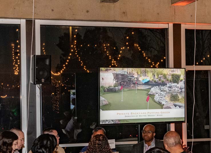 People enjoying the gala