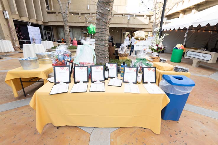 People enjoying the gala