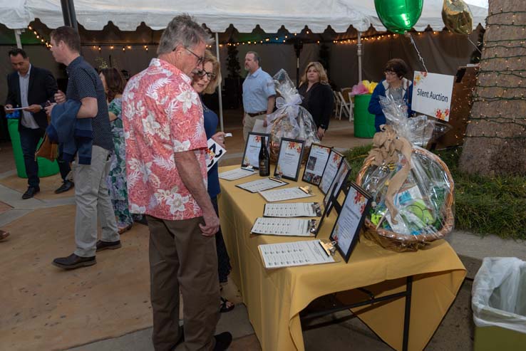 People enjoying the gala