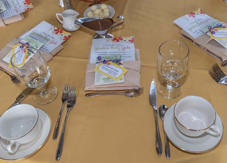 People enjoying the gala