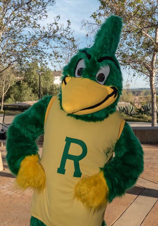 People enjoying the gala