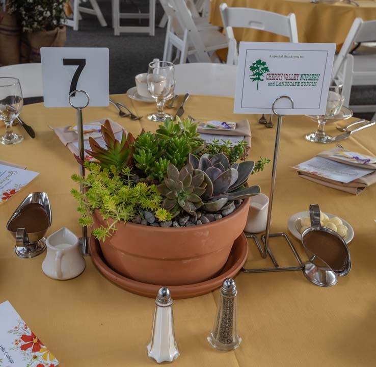 People enjoying the gala