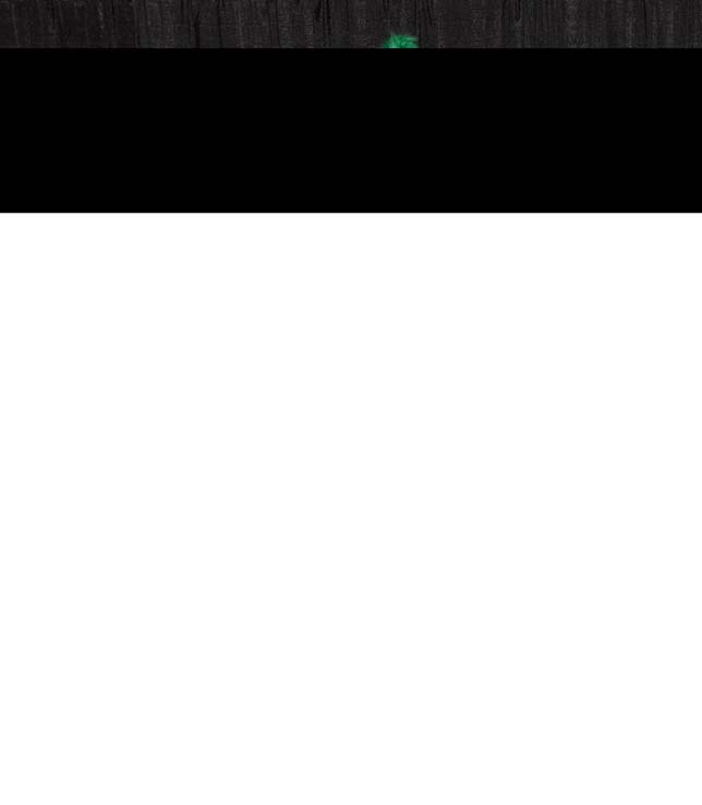 People enjoying the gala