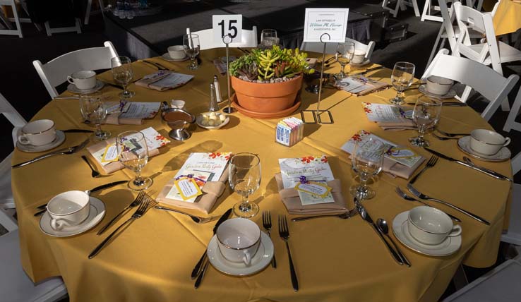 People enjoying the gala