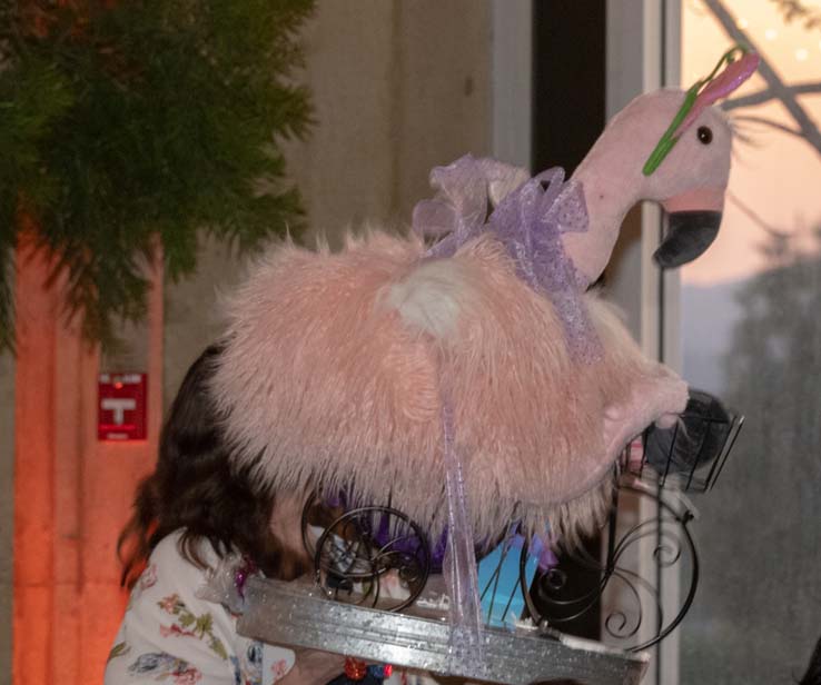 People enjoying the gala