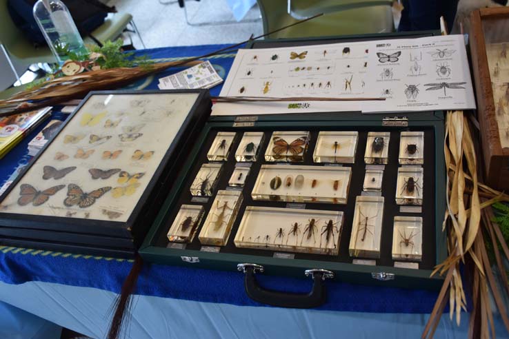 Students enjoying Club Rush