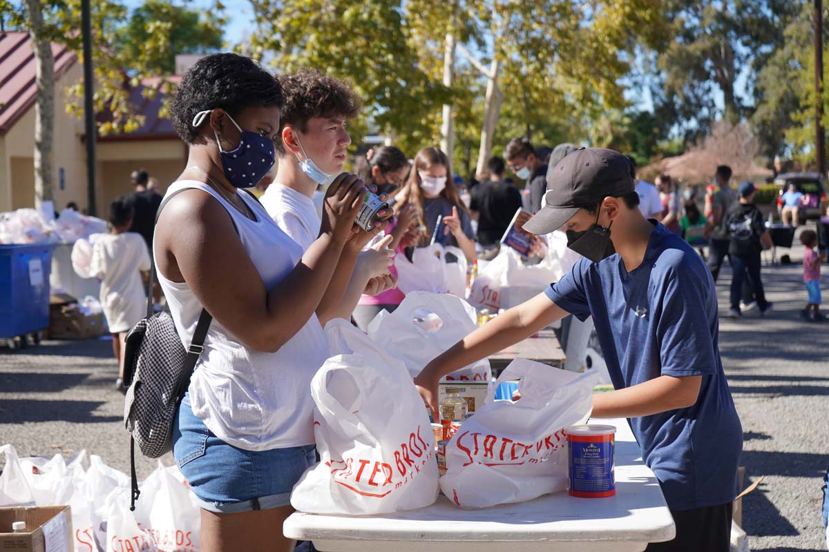 This is a sample image caption.