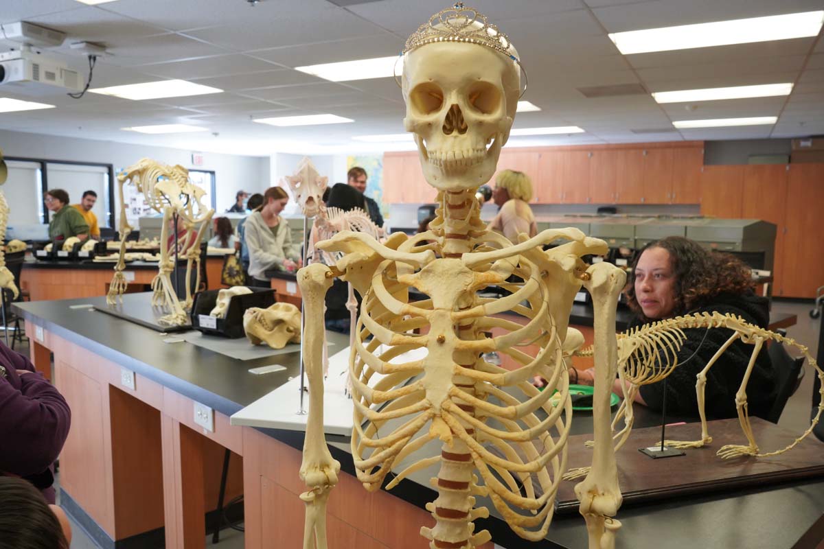 People at Anthropology Open House
