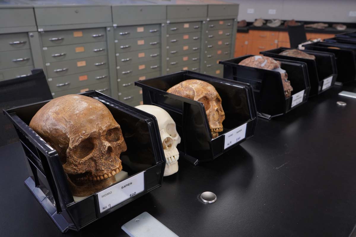 People at Anthropology Open House