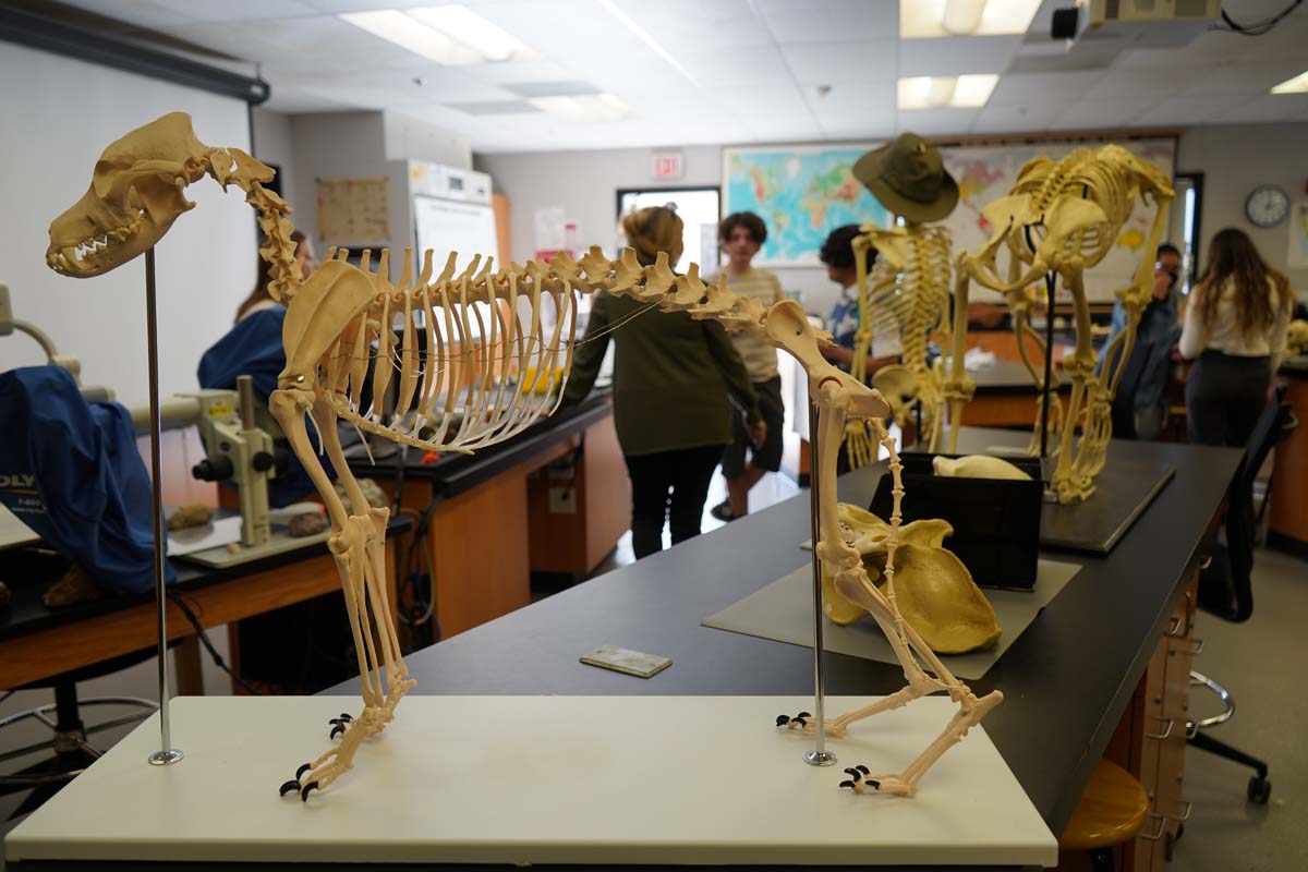 People at Anthropology Open House