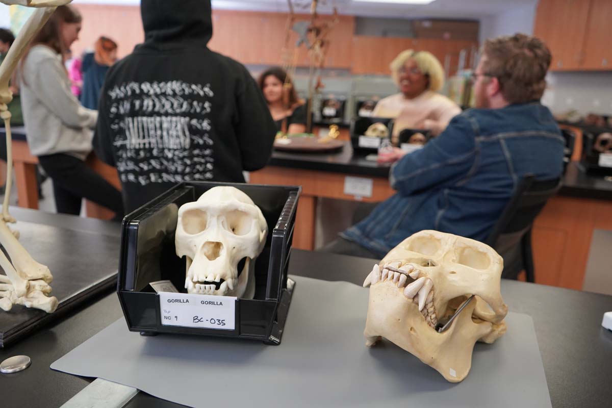 People at Anthropology Open House