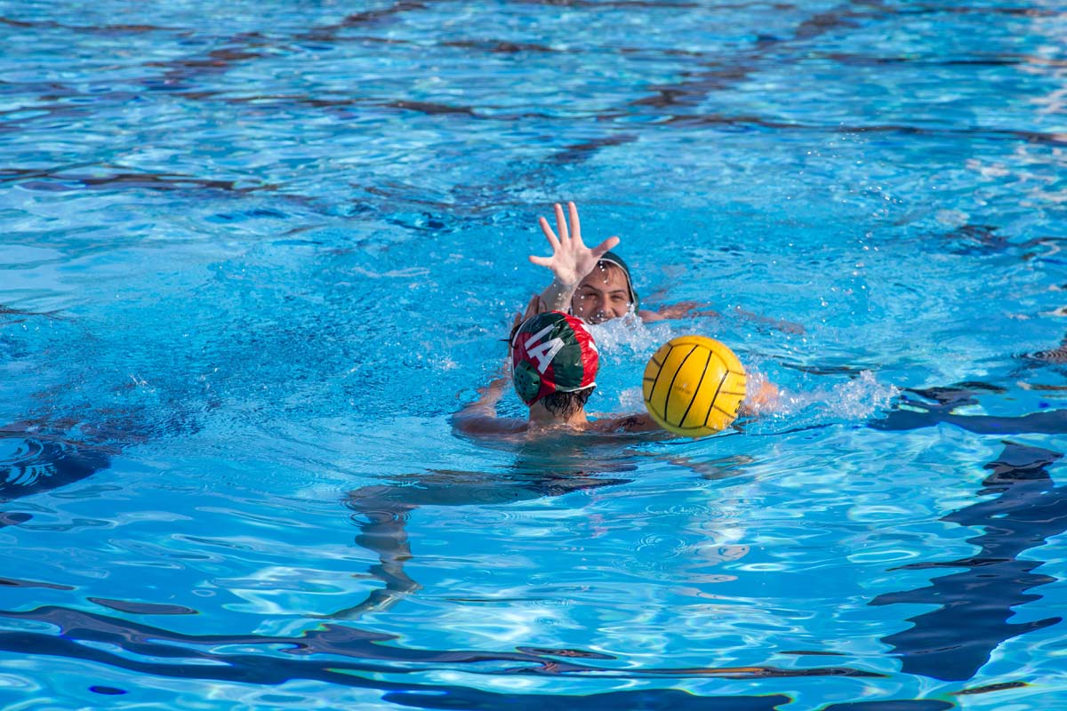 Men's water polo team