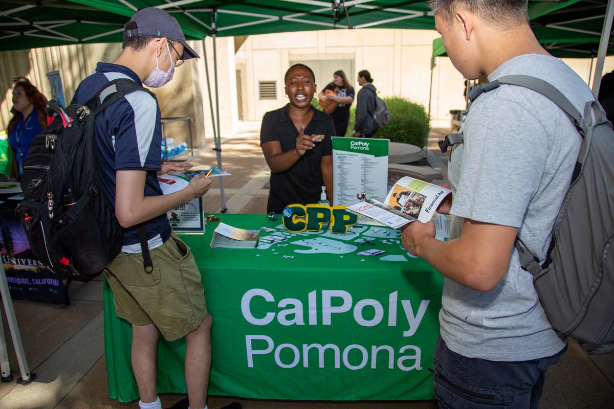 People enjoying the Transfer Fair