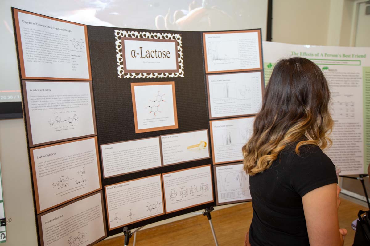 Students at research conference