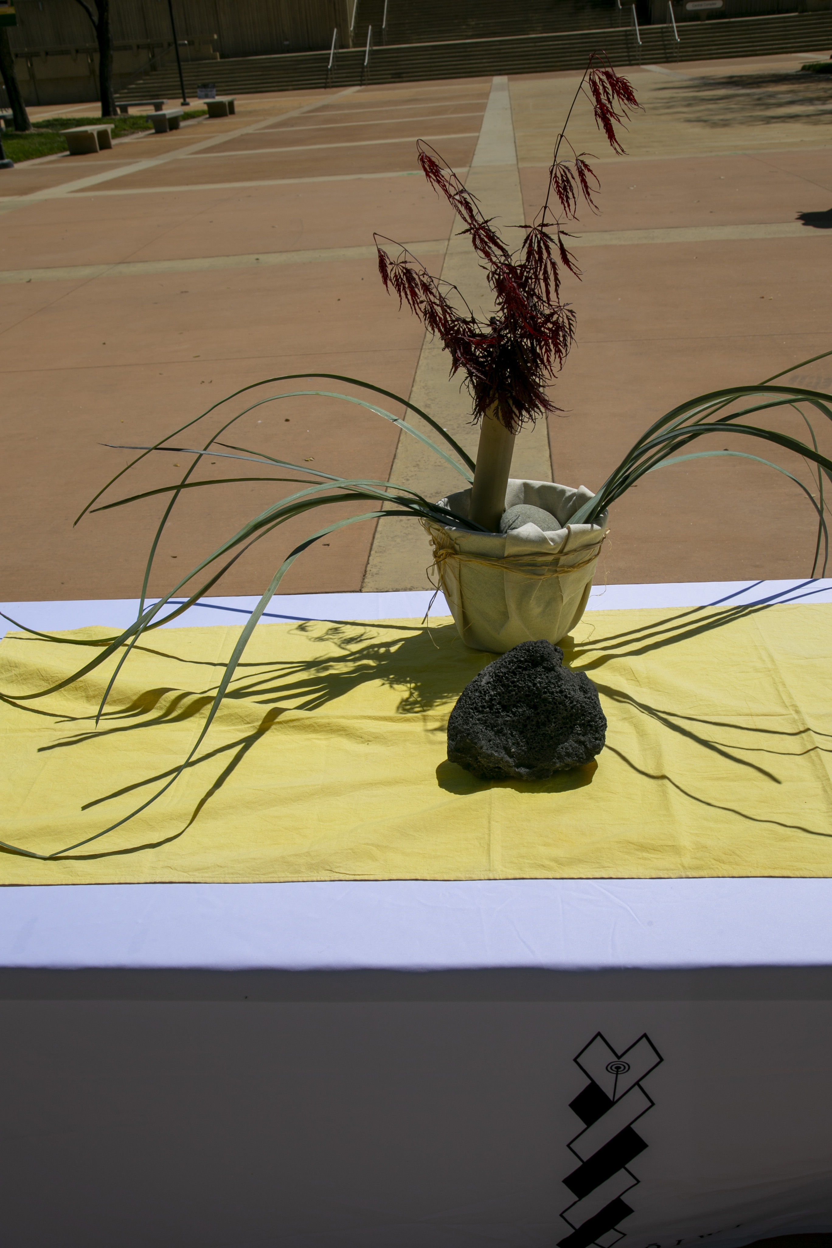 Students, staff, and faculty attend API Heritage Month Closing Ceremony.