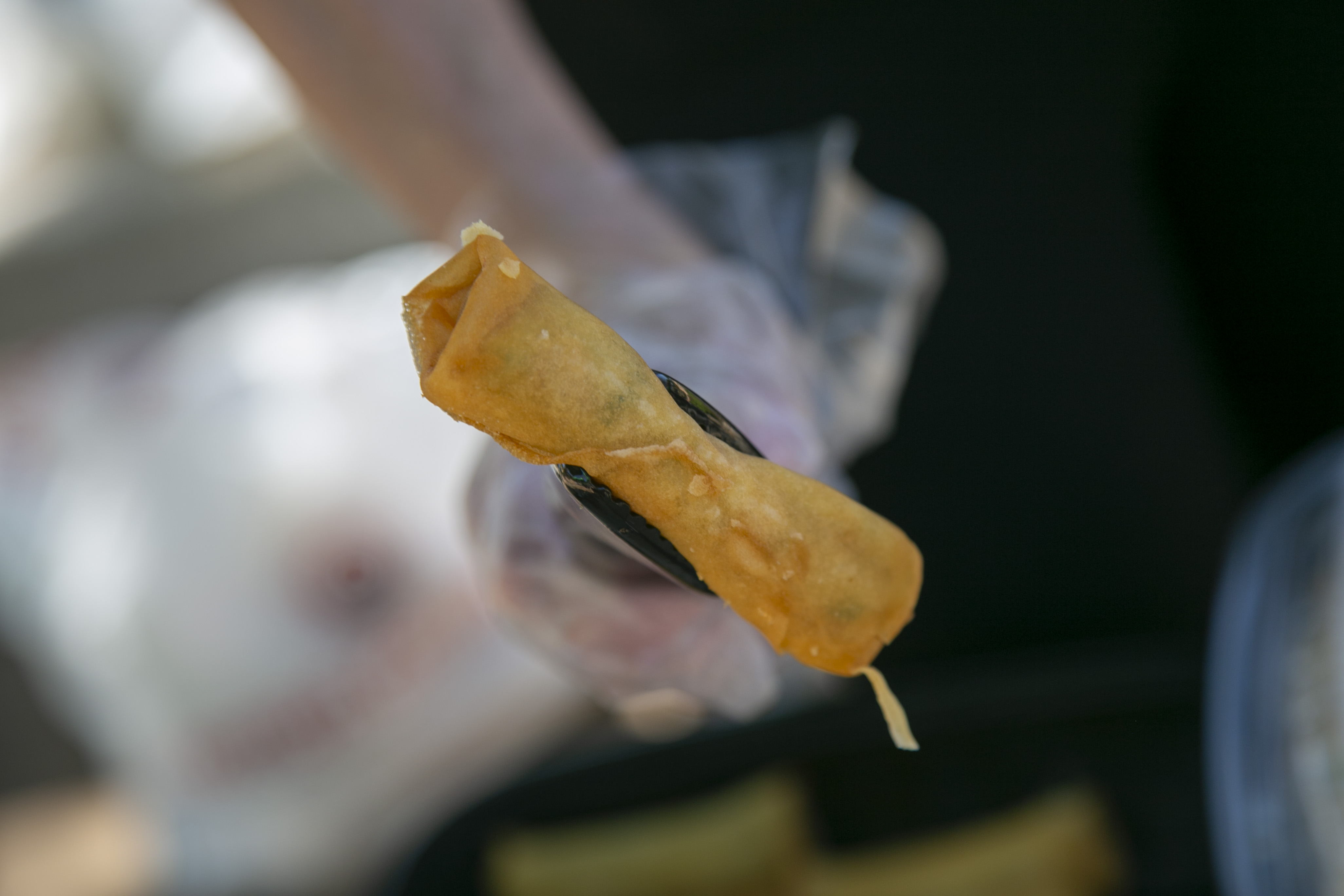 Students, staff, and faculty attend API Heritage Month Closing Ceremony.