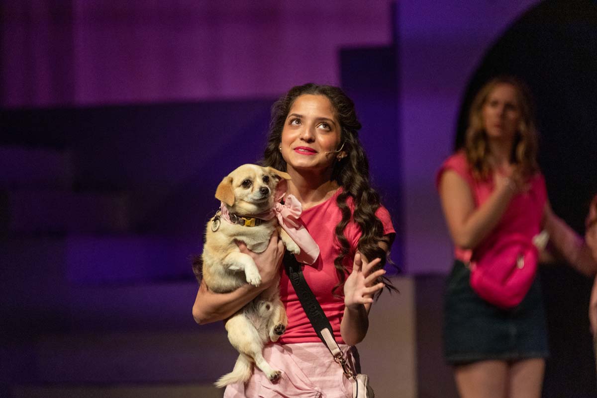 Legally Blonde Performance