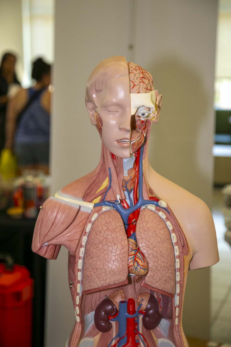 Students at Roadrunner Rally