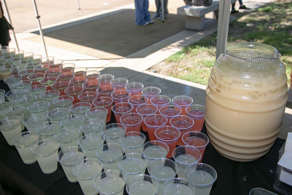 Transfer Fair Participant