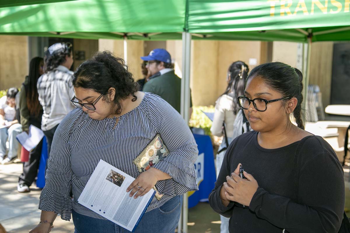 Transfer Fair Participant