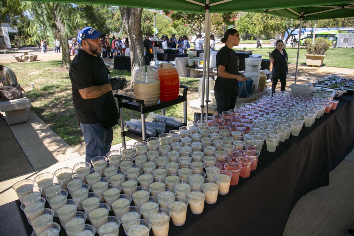 Transfer Fair Participant