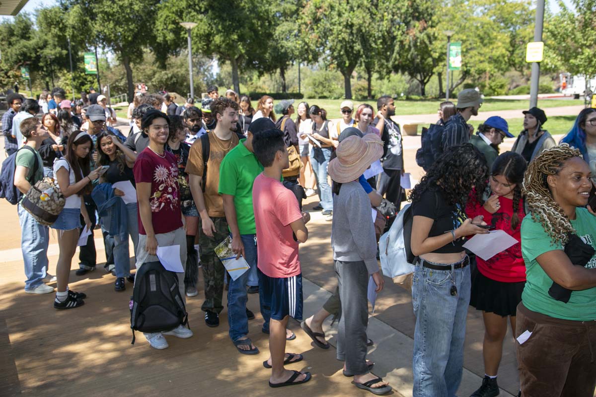 Transfer Fair Participant