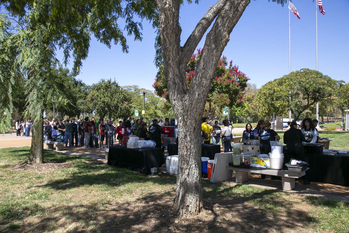 Transfer Fair Participant