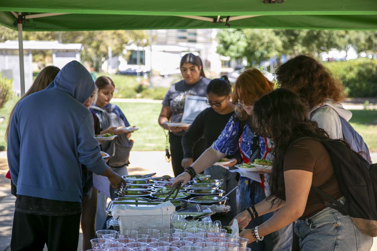 Transfer Fair Participant