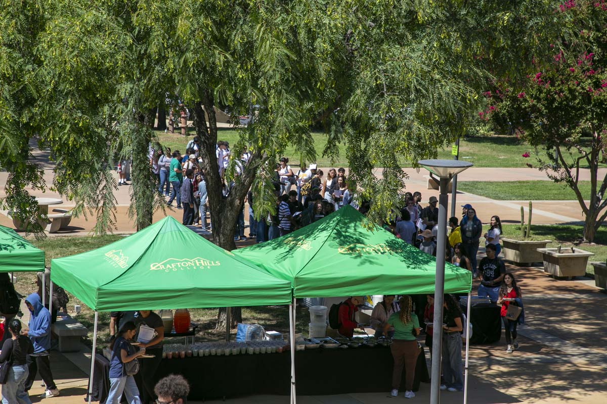 Transfer Fair Participant