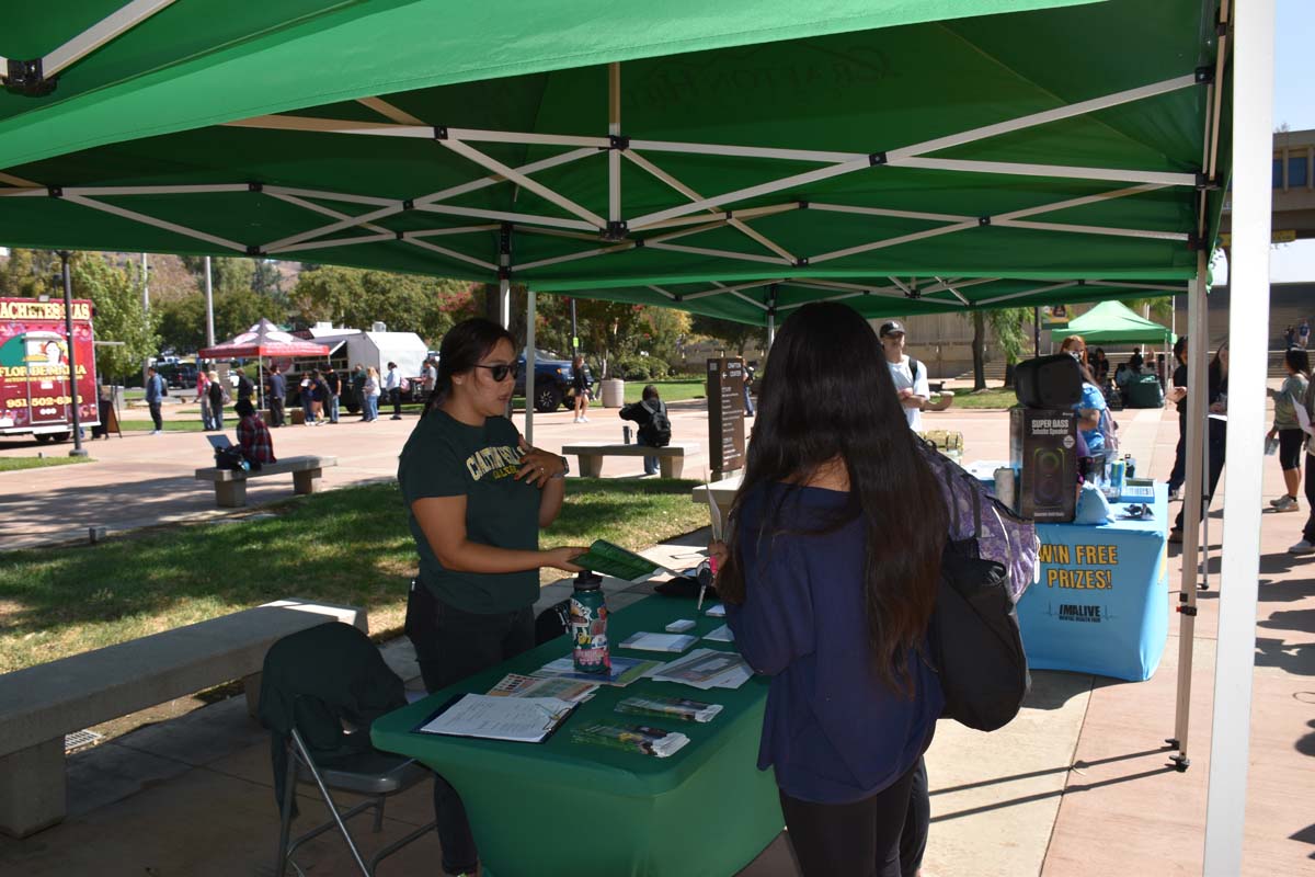 Mental Health Fair Exhibit and Participants